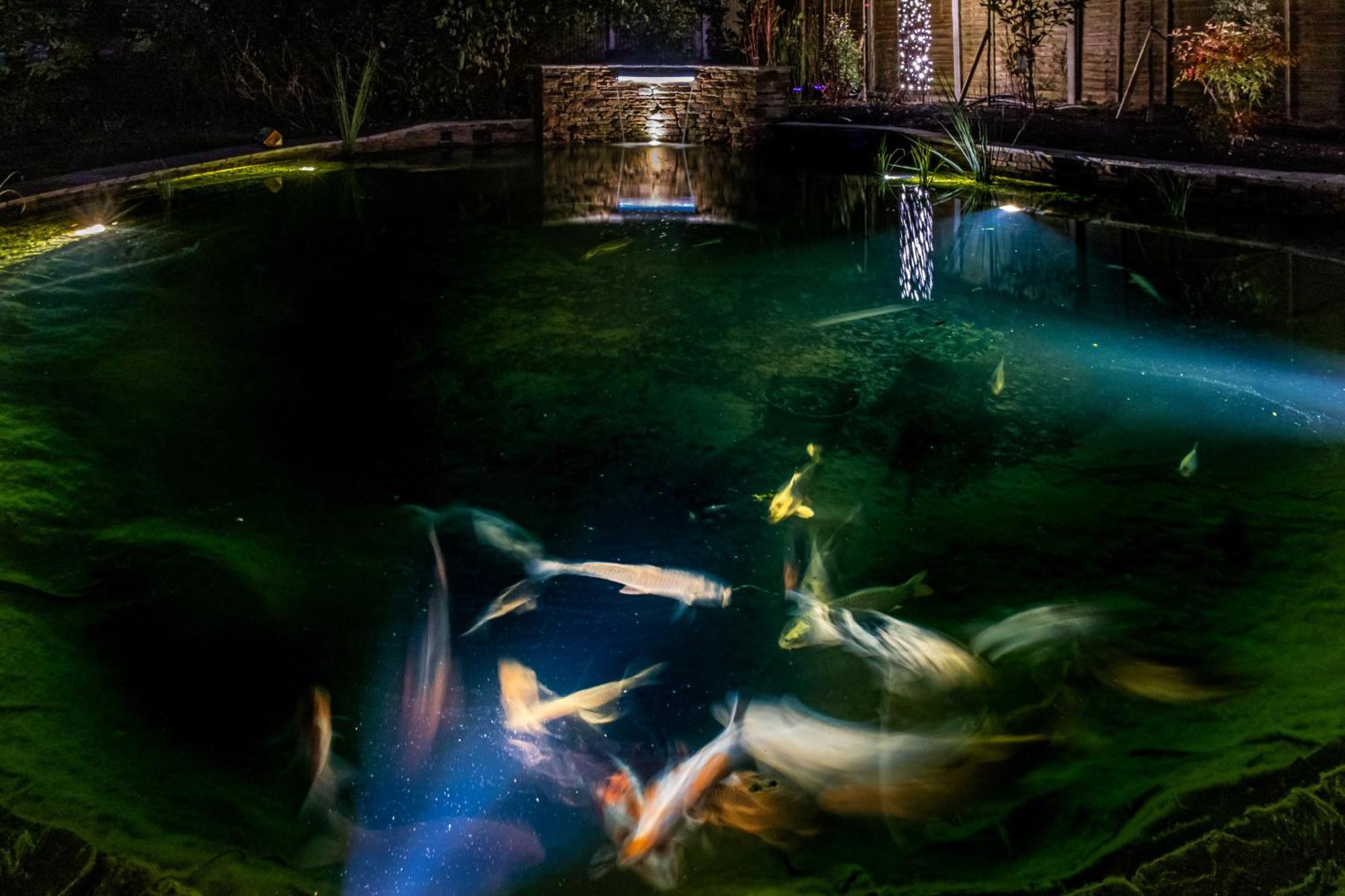 Asperion Hillside Hotel Γκίλντφορντ Εξωτερικό φωτογραφία